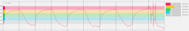 VO2max_interval.PNG