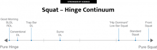 Squat-Hinge-1-1024x331.png