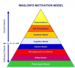 Expanded_Maslow's_Needs.webp.png