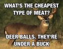 Deer Balls.png