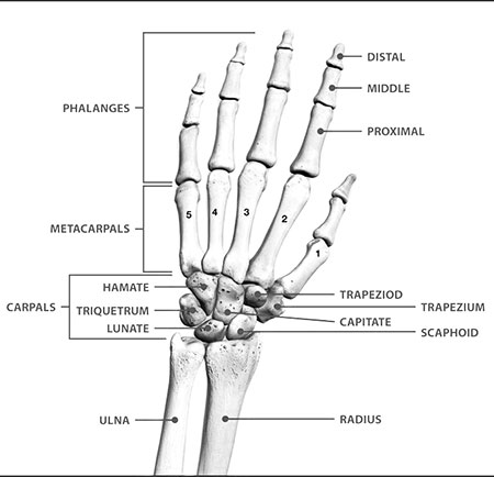 Wrist arthroscopy graphics
