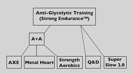 The Anti-Gliyolytic Training diagram